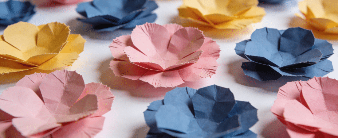 Paper flower shapes Colorful paper petals on a white background